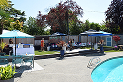 MOMENTUM - MULTI-VENDOR